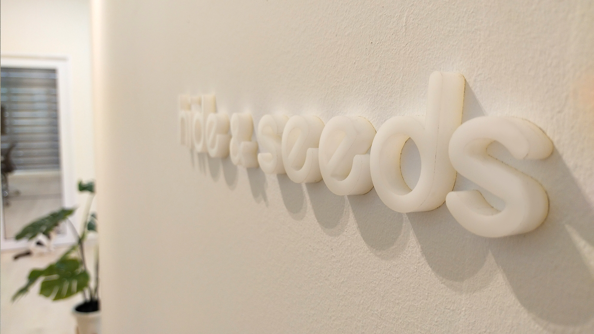 Hello, Hide and Seeds 2.0